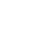Chicken Migos.