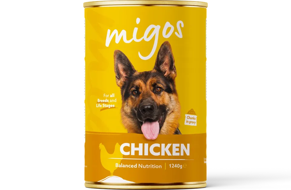 Can of Migos chicken wet dog food, 1240g, with chunks in gravy, for all breeds and life stages.